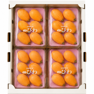家庭用びわ